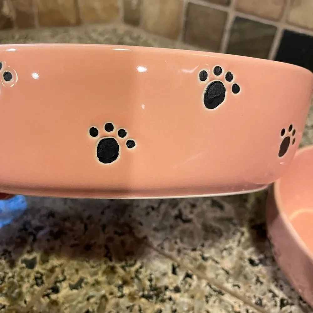 Pet Rageous Adorable Peach Ceramic Cat Bowls set of 2